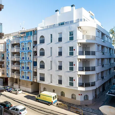 Flamingos Торевьиа