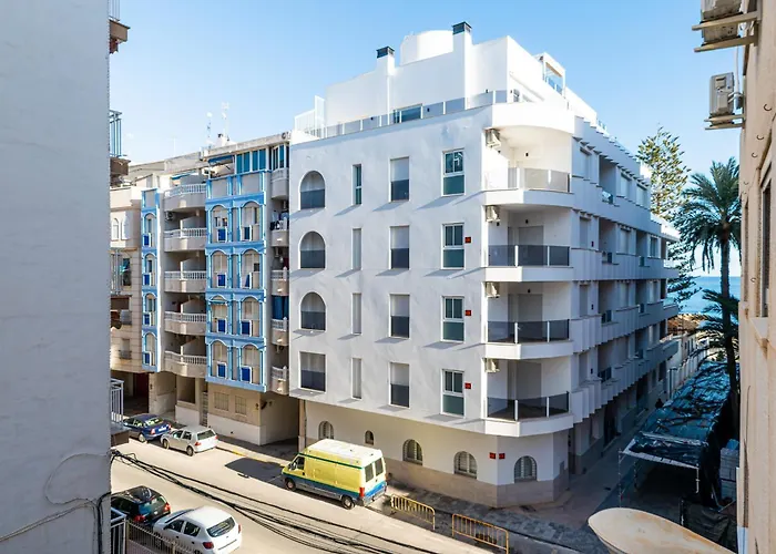 Flamingos Torrevieja